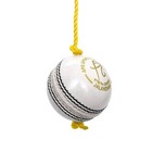 Cricket Leather Hanging Ball Knocking Ball For Practice  7 Ft  white 