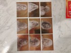 Lord Of The Rings Topps Masterpieces Ll 2008 Bronze Foil Art Complete Set 9 Crds