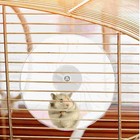 Hamster Running Wheel Toy Guinea Large Hedgehog Supplies Accessories Plastic Sil
