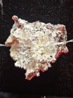 Rare And Unique Crystallized Silver Nugget 10 5 Grams W  Jewelry Box