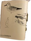 Carving Shorebirds Book Full Size Templates Harry V  Hourds And Anthony Hillman