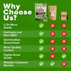Premium Herb Seeds Variety Pack - 20 Heirloom Herb Seeds For Planting -  000  No