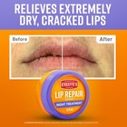 Lip Repair Night Treatment Lip Balm For Dry  Cracked Lips - 0 25 Ounce Jar  2   