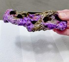 Magnetic Coral Frag Rack