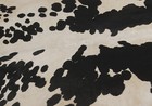 New Cowhide Rugs Area Cow Skin Leather 18 06 Sq feet  51 x51   Cow Hide U-1105