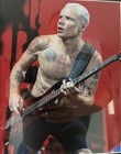 Flea Signed Autographed Index Card   Photo 8x10 Framed 11x14 Chili Peppers