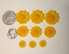 Coe 96 Fusible Glass Flowers  daisy Collection  For Your Fused Glass Projects