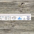 Alabama Saltwater Fish Identification And Regulations 50 Inch Ruler Decals