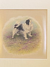 Antique Japanese Chin Dog Oil Painting On Silk 1930 Superb Quality Dogs