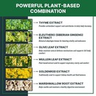 Tapeworm Cleanse For Cats And Kittens Dogs Pet Dewormer Supplement Pumpkin Seeds