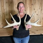 Whitetail Antlers Antler Taxidermy Home Decor Dog Chews 316