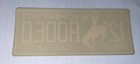 Casper  Wy  Bronco Rodeo Souvenir State Travel Decal 1950s Nos
