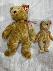 Ty Beanie Baby And Beanie Buddy Lot Of 2 Featuring Cashew The Bear 