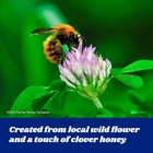 Fischers Honey  24oz Raw And Unfiltered  Local 100  Us Grade Squeeze Bottle New