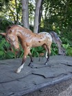 Breyer Custom Buckskin Araloosa Mare Just A Dream oasis