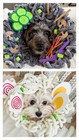 Dog Costume Ramen Noodle Bowl - Handmade  Size Medium