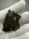 Nwa 18764 New Lunar Melt Breccia Meteorite 15 4 G Polished Slice Of Our Moon