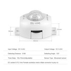1pc Dc 5v-24v Pir Motion Sensor Switch 3a Led Light Controller - New