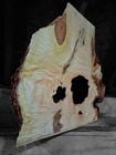 Xxl Thick Birdseye Maple  Burl Wood Cap  Turning Wood Wooden Bowl Blank Ambrosia