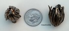  4007 Antiqued Brass Tulip Bead Cap wrap W bottom Hole - 2 Pcs