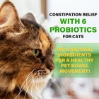 Cat-specific Probiotic Constipation Capsules Softening Feces Improving Digestion
