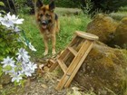 Antique English Pine Rare Round Plank Industrial Folding Wood Step Stool Ladder