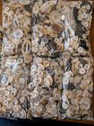 Antique Vintage Shell Sewing Buttons Mixed Lot  12  Ounces Each Bag