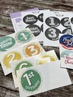 57 Stickers Chalkboard Holiday Monthly Baby Belly Milestone Nora s Nursery