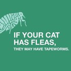 Elanco Tapeworm Dewormer  praziquantel Cat- 6 Weeks Or Older  Ships fast             