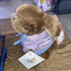 Eden Peter Rabbit Plush 7  Frederick Warne Beatrix Potter Lnwt