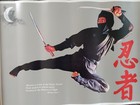 Four Ninja Posters   New Condition 
