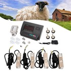 Livestock Scale Kit For Cattle Hogs Sheep Goats Pigs Pallet Scale Agriculture