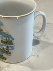 Vintage Souvenir Mug From Vienna 