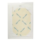 Dermarite Dermaview Ii Transparent Film Dressing 4 In X 4-1 2 In 1 Ct