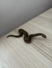 Schleich Wild Life 14778 Green Anaconda Snake