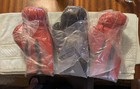 Lot Of Three Historic Signed Boxing Gloves- Ernie Shavers And Ray Mancini 