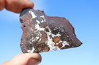 Brahin Pallasite Meteorite  Etched Slice Weight 12 8 Grams 2 Inch