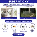 50 Window Fly Traps Sticky Non-toxic Clear Paper Indoor For Transparent