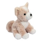 Douglas Pookie Pomsky Mini Soft Plush Stuffed Animal  8  Tall