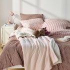 Boxer Short Bear Weighted Plush Throw Pillow - The Hollister Collection