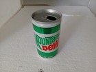 Vintage 1977 Mountain Dew 12oz Soda Can Push Tab Flat Top All Aluminum 77-c Rare