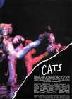 Original 1981 Cats The Musical Broadway Souvenir Program Book 18 Pages 9 x12 