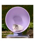 10 2  Silent Hamster Wheel Dual Bearing Silent Running Exercise Purple