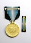 Antarctica Service  Military Medal With Ribbon