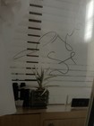 Megan Fox Autographed Framed Photo Display Psa dna Authenticated Original