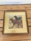 Mick Cawston German Shorthaired Pointer Gsp Framed Dog Print