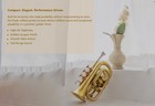 Pocket Trumpet-brass Finish Come With Case   Mouthpiece