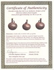 Museum Exhibited Authentic Pre Columbian Artifact Rare Chorerra Bottle Coa T111