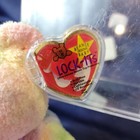 Ty Beanie Baby Groovy Bear With Tag Errors   Rare Tush Tag W Protective Case 