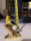 Royal Copley Bird Goldfinch Bud Vase Plant Cutting Root Starter Vintage Appx 5   